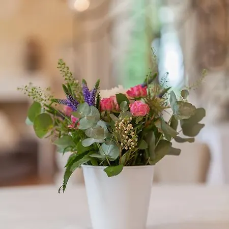 Maison De Jean Saint-Androny