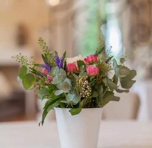 Maison De Jean Saint-Androny